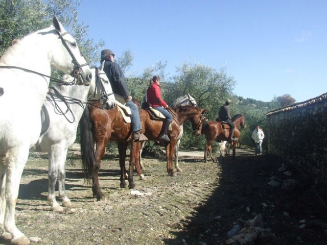 recorriendo nuevos lugares